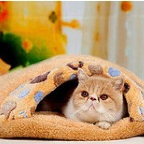 Pet Beds/House